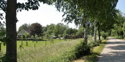 Wiemelinkhof