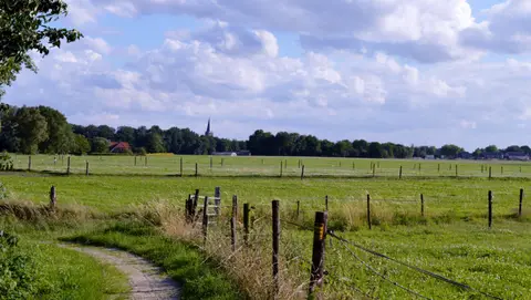 Wiemelinkhof