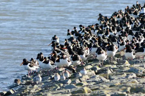 Henken's Reisemobilhafen
