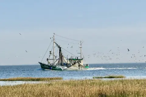 Henken's Reisemobilhafen