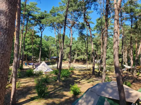 Horstmannsbos