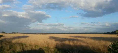 Camping De Wapenberg