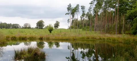 Camping De Wapenberg