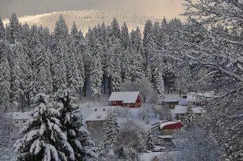 Camping Fichtelsee