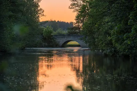 Pfetzendorfer Weiher