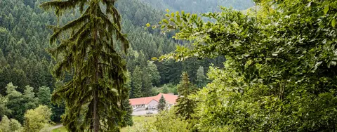 Ferienpark Thüringer Wald