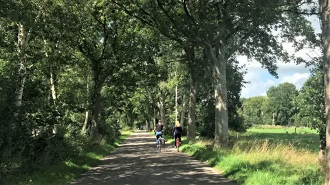 Camping De Watermolen