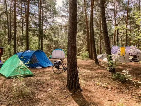 Wald- und Naturcampingplatz am Tonsee Süd