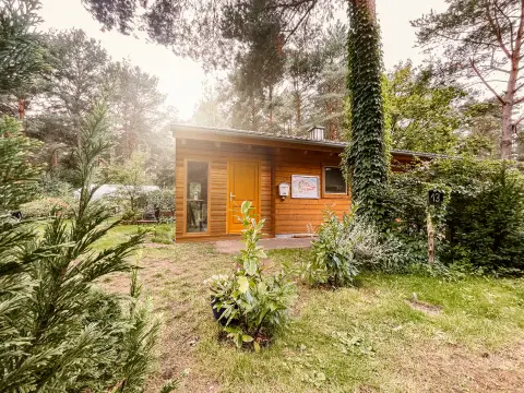 Wald- und Naturcampingplatz am Tonsee Süd