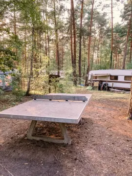 Wald- und Naturcampingplatz am Tonsee Süd