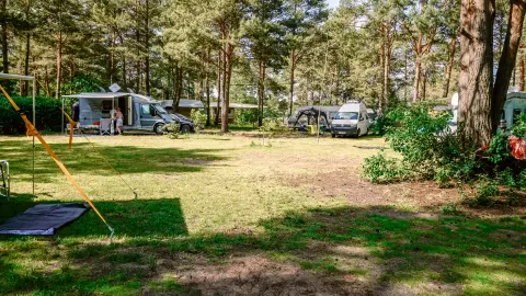 Wald- und Naturcampingplatz am Tonsee Süd