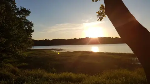 Camping Plothener Teiche