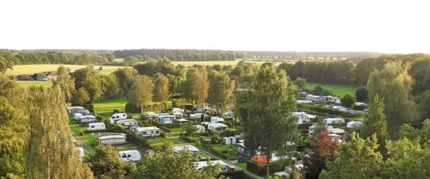Campingplatz Vogelzunge