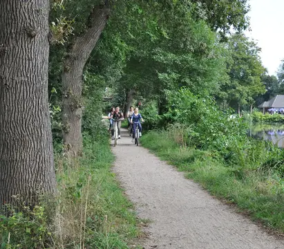 Campingplatz Vogelzunge