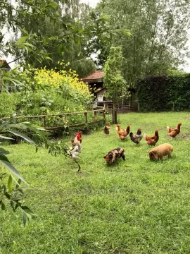 Natuurkampeerterrein De Rietkraag