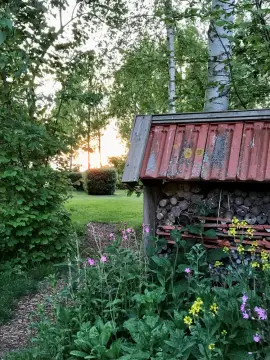 Natuurkampeerterrein De Rietkraag