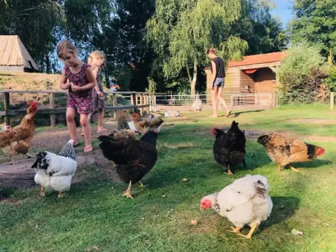 Natuurkampeerterrein De Rietkraag