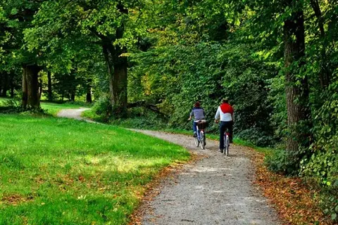 Camping de Lijsterbes