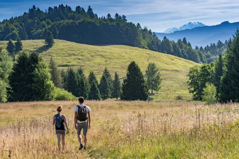 Camping Osenbach