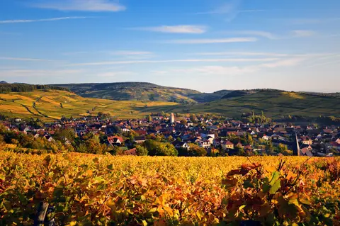 Le Florival