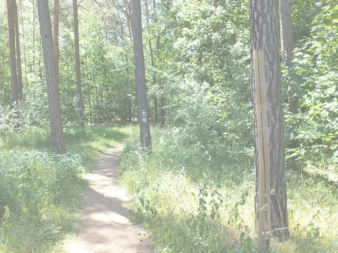 Schlaubetal Camping