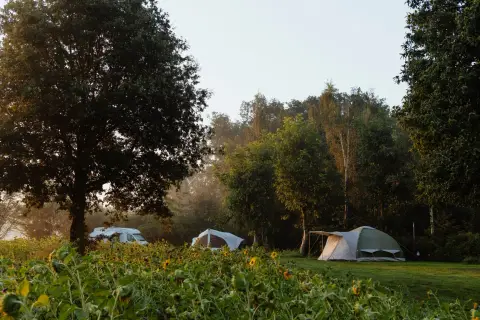 Natuurcampeerterrein 't Scharvelt