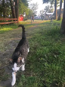 Ferienpark Ueckermünde-Bellin