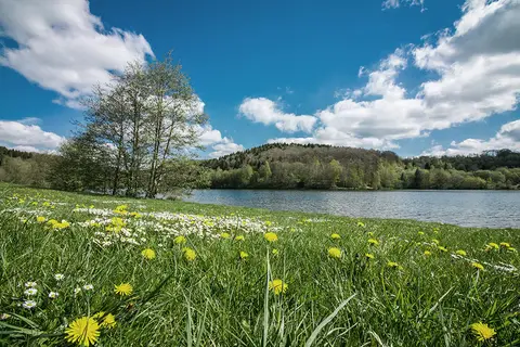 Eifel-Camp - Freilinger See