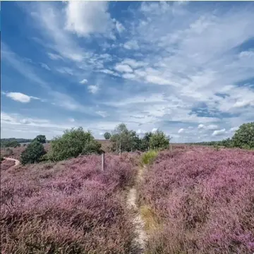 De Kleine Stroet