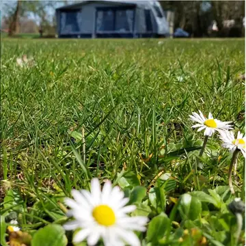 De Kleine Stroet