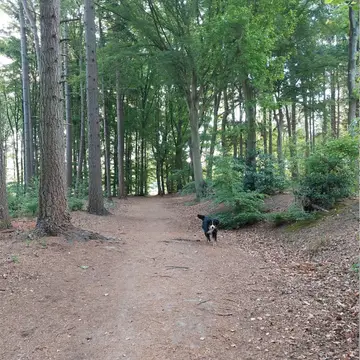 De Kleine Stroet