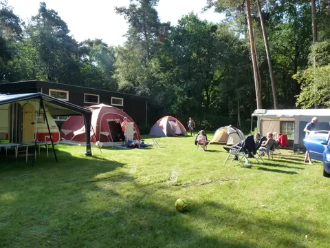 Het Mussennest