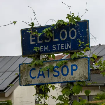 Camping Catsop