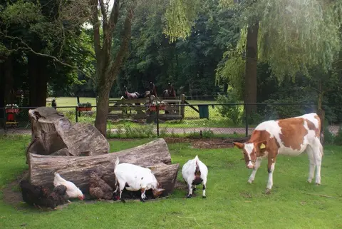 De Wuitekamp