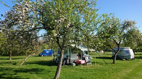 Camping Bovenste Bos
