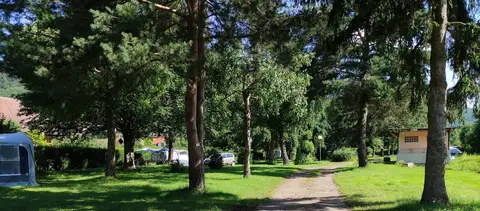 Camping du Haut-Kœnigsbourg