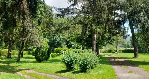 Camping du Haut-Kœnigsbourg