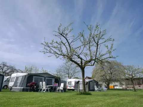 De Bonenkamp