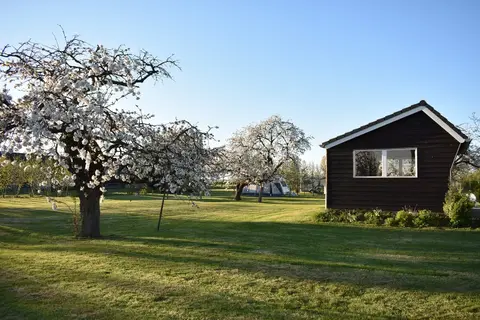 De Bonenkamp