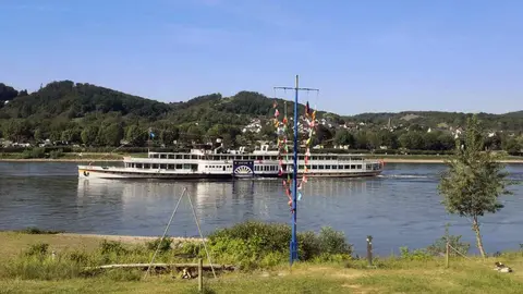 Green Camping am Rhein