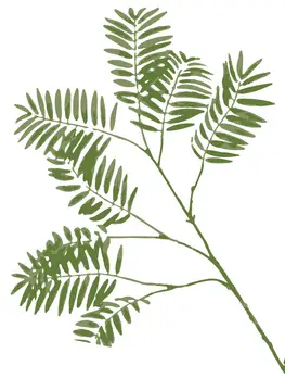 Fûgelfrij