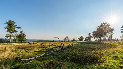 Camping Winterberg