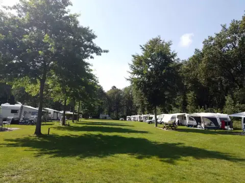 Camping Nederrijkswald