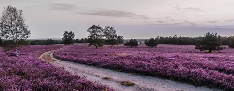Naturcamping Lüneburger Heide
