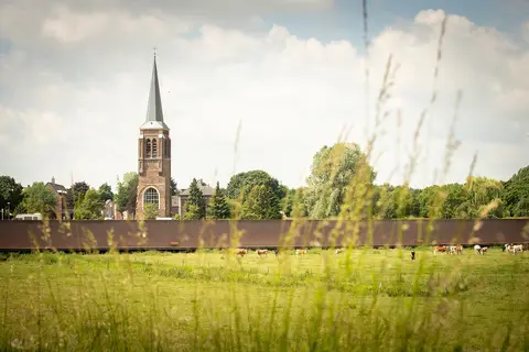Maas Camp
