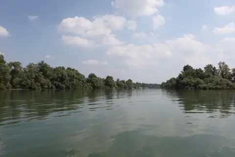 Campingplatz Rheininsel Bleiau