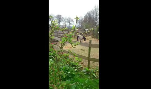 Minicamping Kivafarm