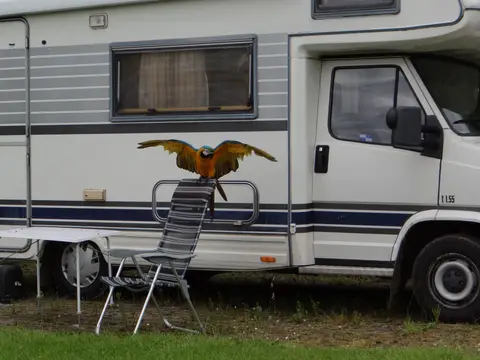 Minicamping Kivafarm