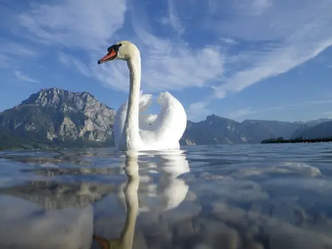 Camping Traunsee