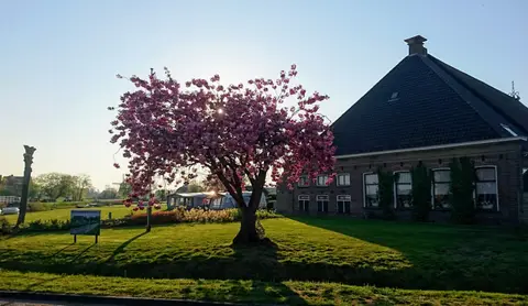 Minicamping Friesland